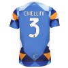 Officiële Voetbalshirt Juventus Chiellini 3 Vierde 2022-23 - Heren